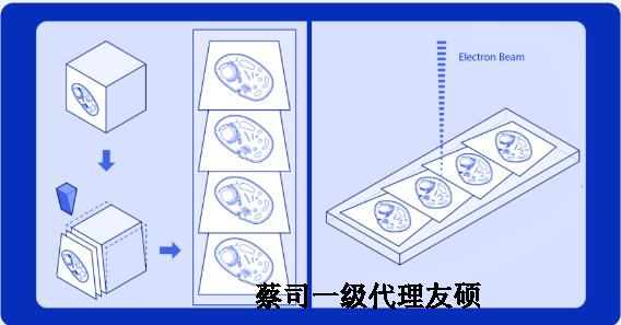 阿克苏蔡司阿克苏扫描电镜